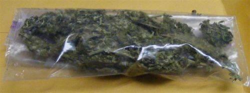 A bag of marijuana.