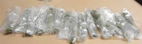 Numerous bags filled with marijuana.